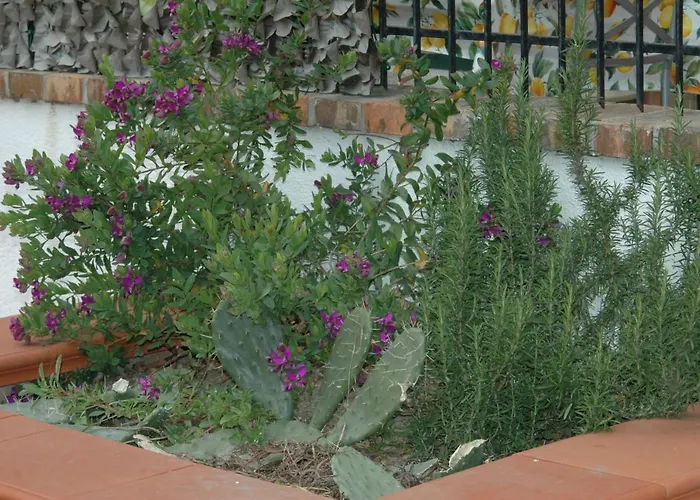 Bed & Breakfast La Terrazza 3*