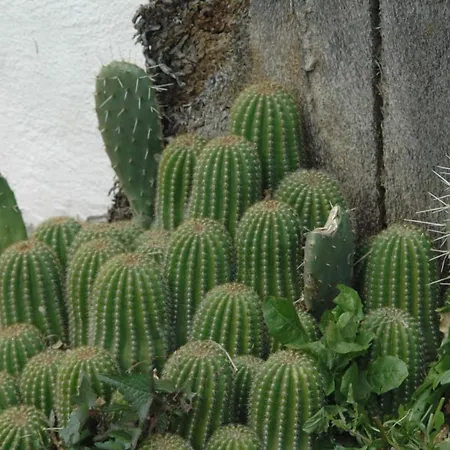 Panzió La Terrazza 3*