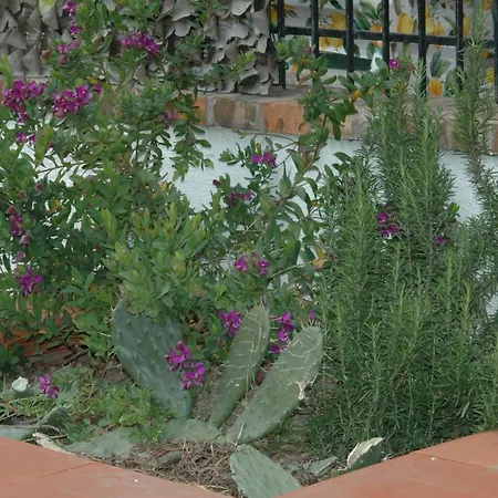 Bed & Breakfast La Terrazza 3*