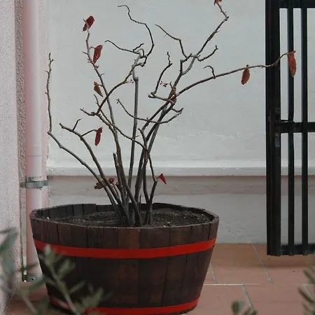 La Terrazza *