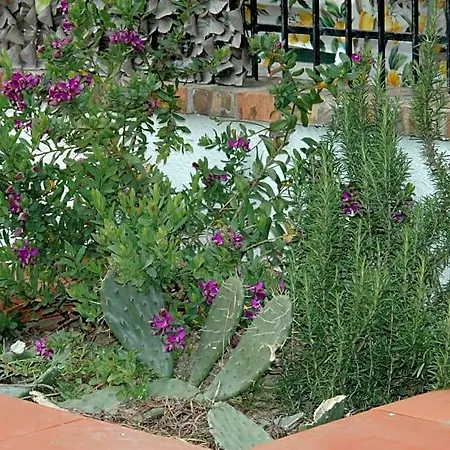 Alojamento de Acomodação e Pequeno-almoço La Terrazza